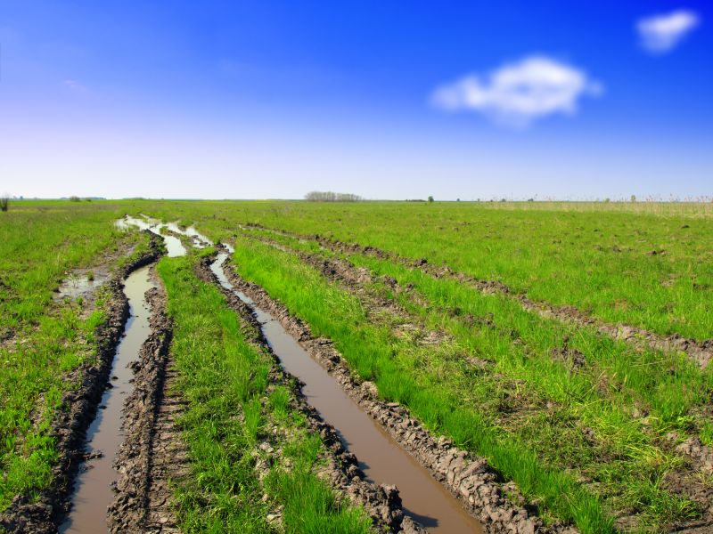 Customized Solutions